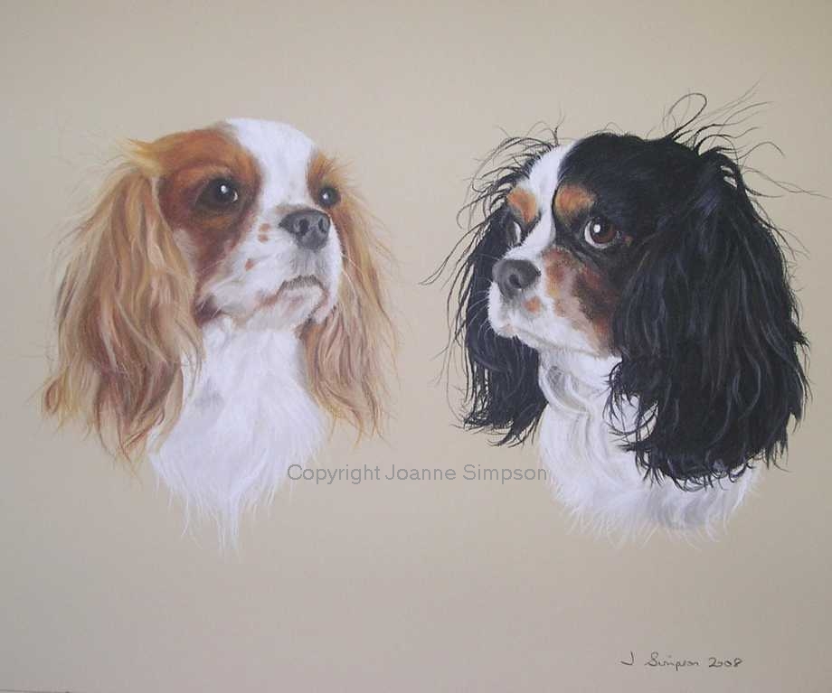 Cavalier King Charles portrait by Joanne Simpson